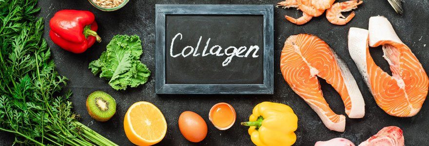 Alimentazione collagene